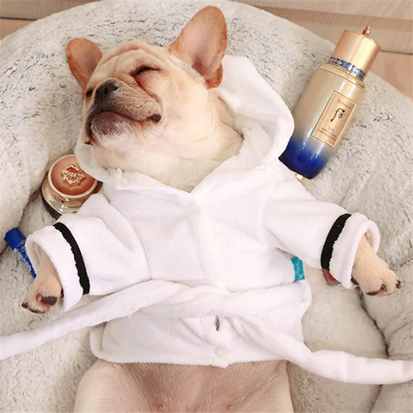 Cozy White Dog Robe
