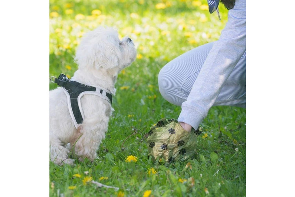 LIVINGTODAY 60 Biodegradable Unscented Pet Dog Poop Waste Bags