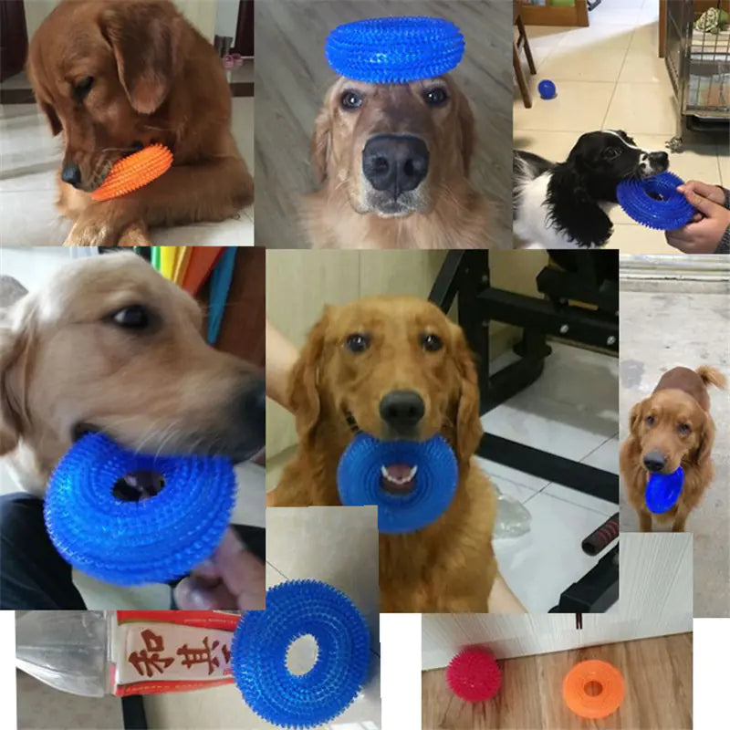 Interactive Bite-Resistant Dog Chew Toys for Training