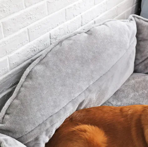 Stylish Dog Lounger