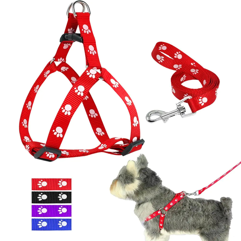 Trendy Paw Print Leash Set
