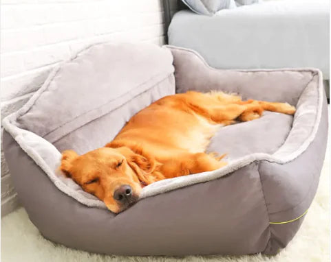 Stylish Dog Lounger