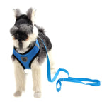 TheAussiePaw Premium Dog Harness