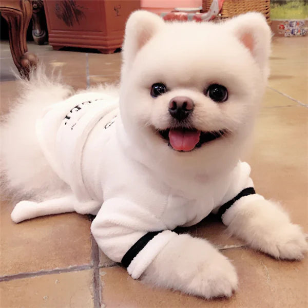 Cozy White Dog Robe