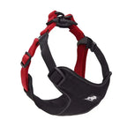 TheAussiePaw Dog Leash with Collar for Walking Your Dog