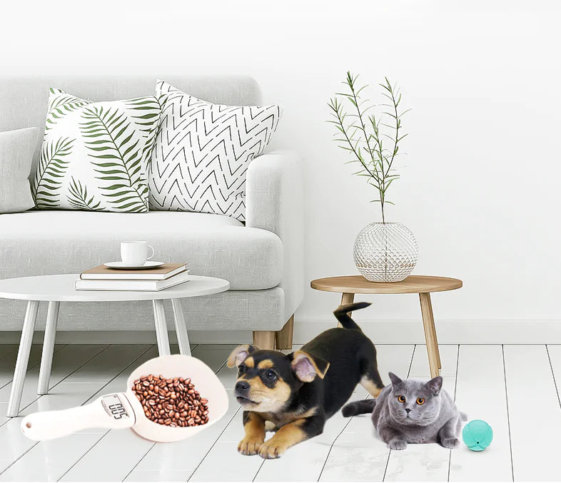 Precision Pet Feeding Spoon