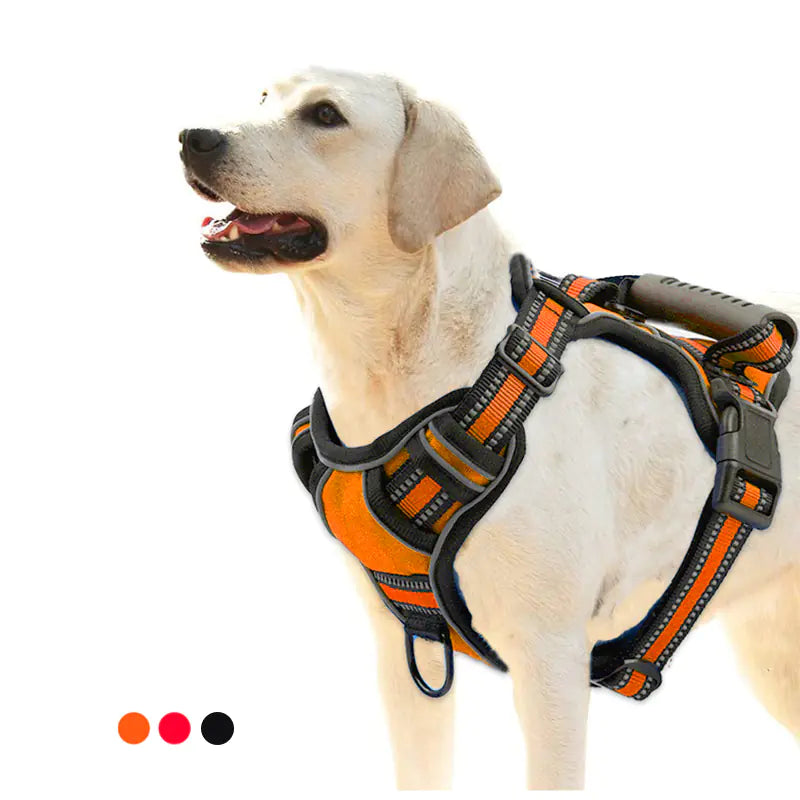 Reflective Comfort Dog Harness