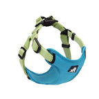 TheAussiePaw Dog Leash with Collar for Walking Your Dog