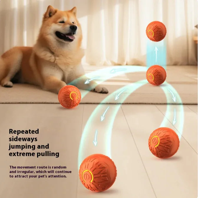 Lively LumoBall - Automatic Dog-Chaser
